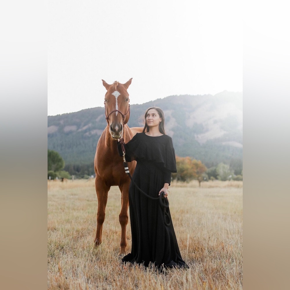 Dainty Jewells Evenings At Annesdale Dress